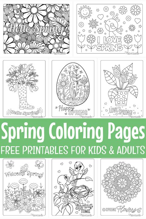 printable spring coloring pages  adults printable templates