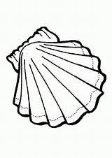 Coloring Pages Seashells Seashell Library Clipart Shape sketch template