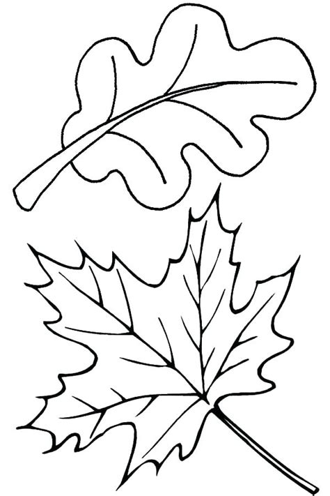 fall leaves clip art coloring pages  getcoloringscom