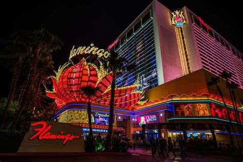 flamingo las vegas onthestripcom