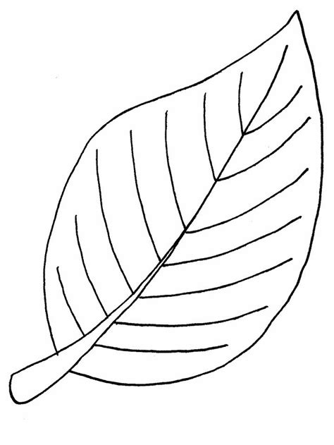 leaf template   size sewing pinterest coloring leaf