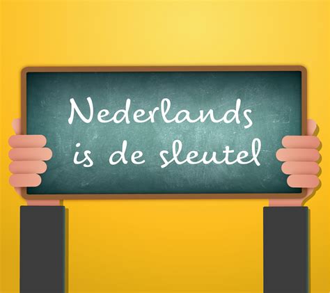 nederlands  de sleutel vlaamse veerkracht  het onderwijs