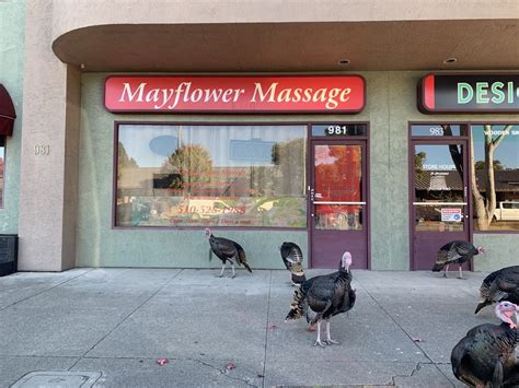 mayflower massage massage therapy 981 san pablo ave albany ca