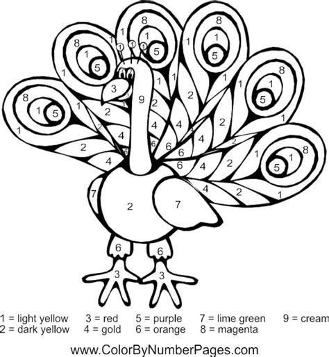 totally fun color  number animal coloring pages coloring pages