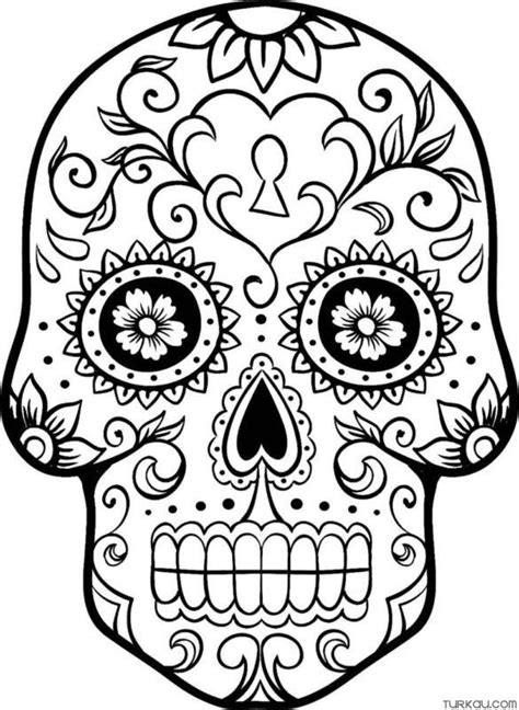 flower skull coloring pages  adults turkau