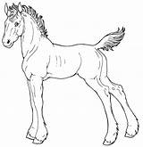 Foal Draft Line Horse Drawing Drawings Deviantart Animals Getdrawings Paintings sketch template