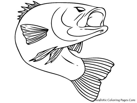 fish coloring pages  toddlers  getdrawings