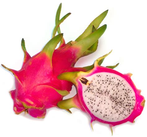 pitaya dragon fruit ntgovau