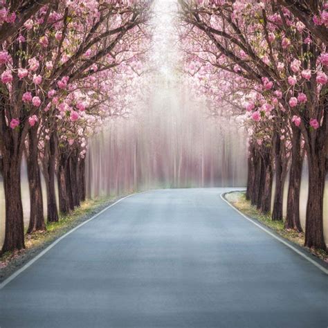 buy aofoto 7x7ft beautiful spring blossom flower photography backdrop