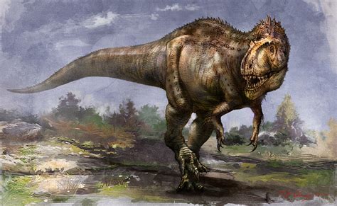 Imagens Do Mês Fevereiro De 2013 Tyrannosauridae I
