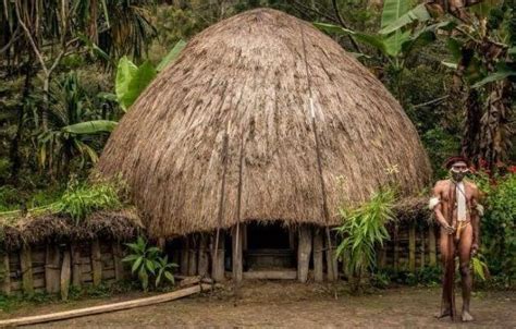 rumah adat papua gambarnya  rumah kaki seribu