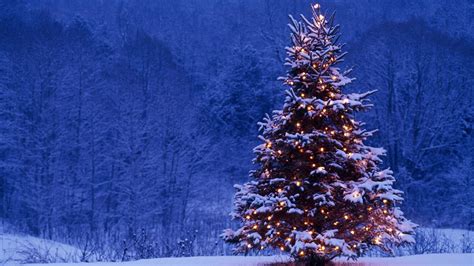 merry christmas holiday winter snow beautiful tree gift santa