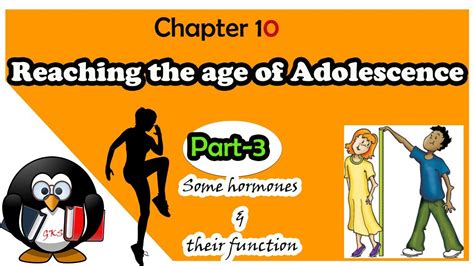 Reaching The Age Of Adolescence Class 8 Science Chapter 10 Ncert