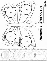  sketch template