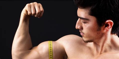 average guy bigger biceps