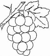 Uva Grapes Frutta Colorare Grape Sheets sketch template