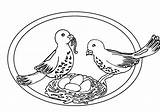 Duiven Kleurplaten Tauben Mewarnai Burung Ausmalbilder Dieren Dara Merpati Pigeons Animasi Malvorlagen Animierte Coloriages Taube Bergerak Piccioni Animaatjes Piccione Nest sketch template