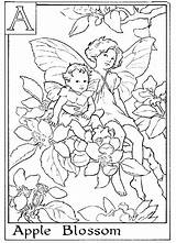 Coloring Pages Fairy Flower Choose Board Apple Letter sketch template