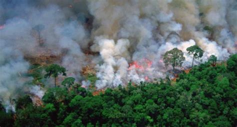photo   show amazon rainforest fire   years    truths