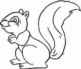 Coloring Squirrel Pages Easy Preschoolers Drawing Print Flying Kids Squirrels Getdrawings sketch template
