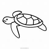 Turtle Tortuga Tartaruga Colorear Desenho Marinha Aquatic Cheloniidae Hitam Putih Hewan Kura Penyu Seaturtle Clipartmag Ultra Tortoise Coloringcity sketch template