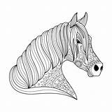 Cavallo Disegno Zentangle Colorare Stylized Dello Progettazione Tatuaggio sketch template