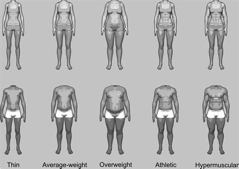 Frontiers Gender Differences In Body Evaluation Do Men