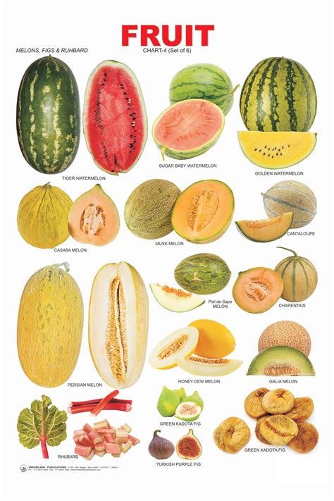 vegetables  fruit list names  pinterest vegetables squashes  tropical fruits