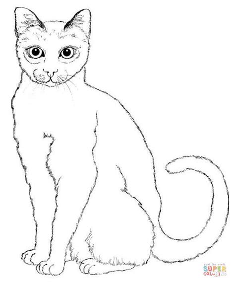 sitting cat coloring page  printable coloring pages
