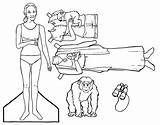 Jane Goodall Paper Dolls Scientist Coloring Doll Project Carl Printable Sagan Crafts Getcolorings Pages Geek Lifetime Program Dress Visit Awesome sketch template