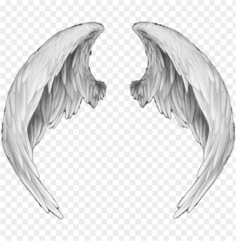 Ali D Angelo Png Anime Angel Wings Png Image With