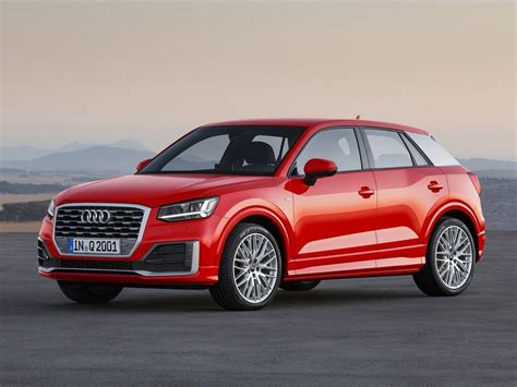 entry level audi  crossover expected  arrive   carbuzz