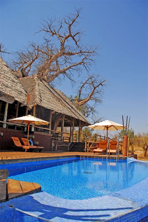 avis   de la piscine de lelewana tarangire treetops tripadvisor