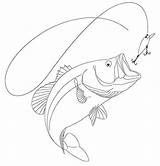 Drawing Bass Fish Largemouth Drawings Behance Easy Mouth Smallmouth Large Painting Water Pencil Draw Fishing Outline Coloring Cartoon Step Burning sketch template