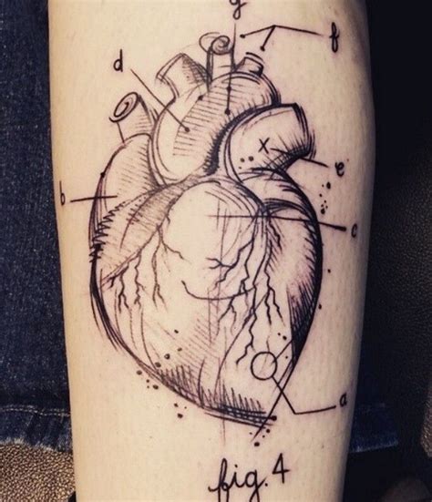 greys anatomy heart diagram tattoo cute tattoos  tattoos body art tattoos tattoos  guys