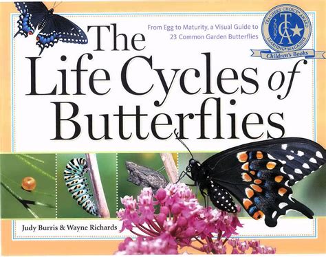 book   butterfly life cycle butterfly kit butterfly books