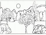 Arboles Pinos Selva Toamna Wald Floresta Peisaje Colorat Desene Peisaj Trees Malvorlagen árboles sketch template