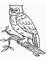 Coloring Pages Owl Coloringpagesforadult Printable Print Sheets sketch template