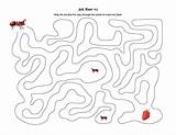 Ant Maze Mazes Giftofcuriosity Insects Ants 99worksheets Pencil sketch template