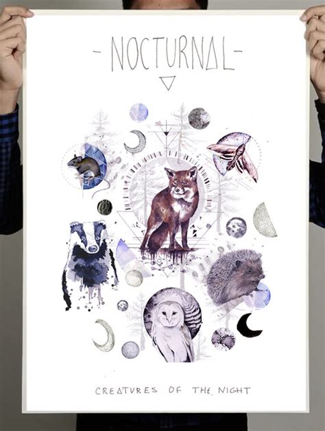 nocturnal animals art print