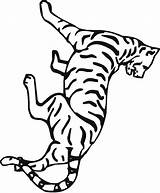 Tiger Coloring Pages Color Print Coloring2print sketch template