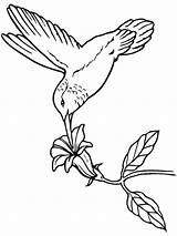 Hummingbird Carving sketch template