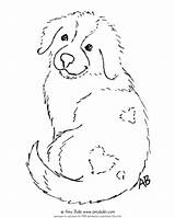 Puppy Bolin sketch template