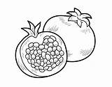 Pomegranate Coloring Drawing Coloringcrew Pages Getdrawings Fruits sketch template