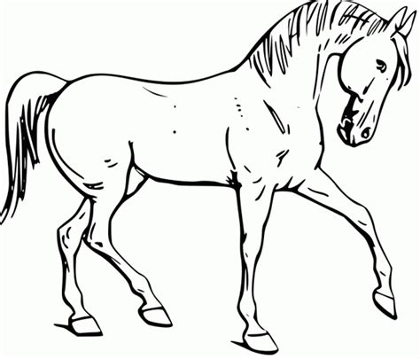 coloring pages  horses horse coloring pages printable horses print