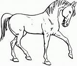 Horse Coloring Pages Kids Bestappsforkids sketch template