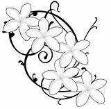 Frangipani Flower Tattoo Plumeria Coloring Flowers Tattoos Pages Designs Women Tatouage Colour Google Drawings Names Kids Dessin Beautiful Getdrawings Name sketch template
