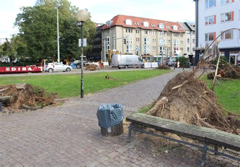 baeume  hagenmarkt buergerinitiative appelliert  stadt