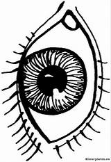 Kleurplaat Lichaam Menselijk Oog Kleurplaten Augen Clipartmag Eyeball Snake Zo Leren Stemmen sketch template