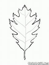 Eichenblatt Coloring Colorkid Oak Leaf Leaves Malvorlagen Fruits Alder Sheet Pages sketch template